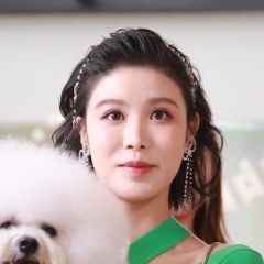 寵愛Pet Pet