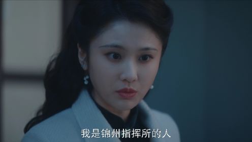 前夜第17集