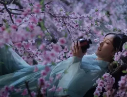 永遠の桃花～三生三世～スチール写真