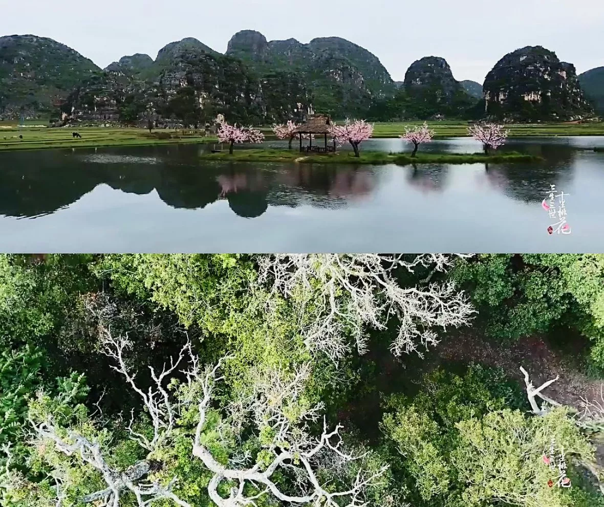 永遠の桃花～三生三世～スチール写真