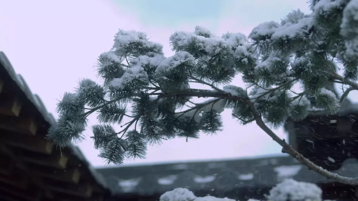 雪中悍刀行～徐鳳年、北椋王への道～スチール写真