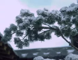 雪中悍刀行～徐鳳年、北椋王への道～スチール写真