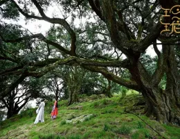 幻想神国記 運命の旅路スチール写真